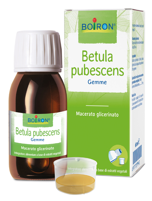 BETULA PUBESC BOIRON MACERATO GLICERICO 60 ML - Pharmaleader