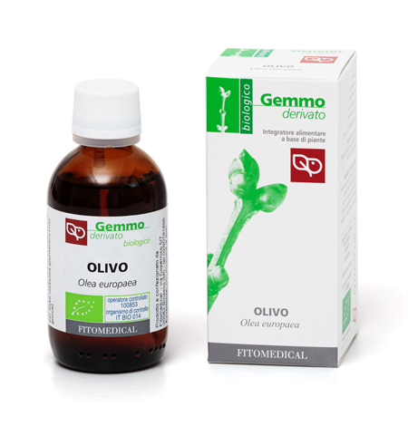 OLIVO MACERATO GLICERICO 50 ML BIO - Pharmaleader