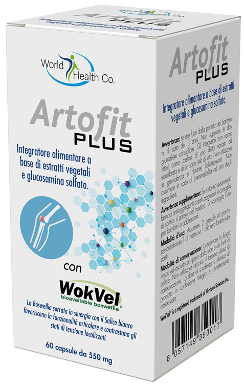 ARTOFIT PLUS 60 CAPSULE - Pharmaleader