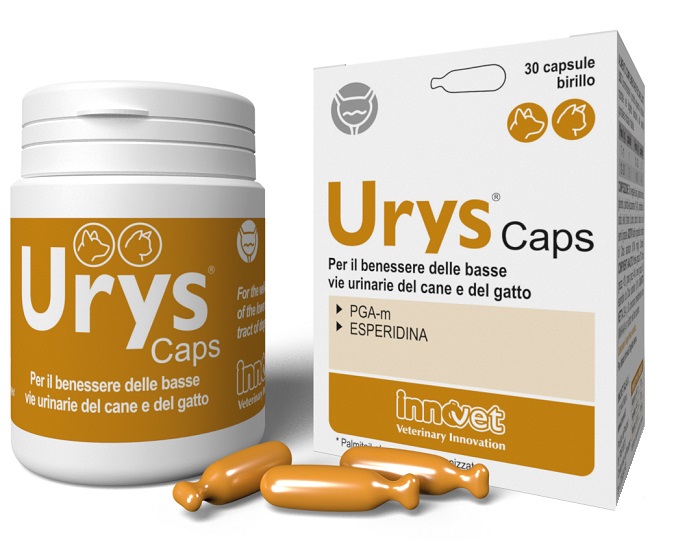 URYS CAPS 30 CAPSULE - Pharmaleader