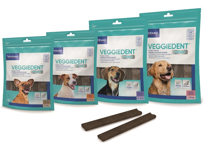 VEGGIEDENT FR3SH XS 15 STICK - Pharmaleader
